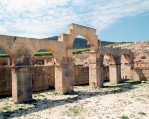  Sidi Khelifa